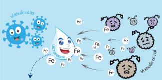 Lactoferrin trong Enfamil Enspire: Bí mật giúp bé khỏe mạnh ngay từ những năm đầu đời