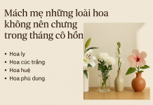 Mách mẹ những loài hoa không nên chưng trong tháng cô hồn