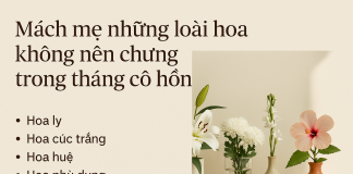 Mách mẹ những loài hoa không nên chưng trong tháng cô hồn