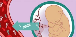 Làm xét nghiệm NIPT có biết trai hay gái không?