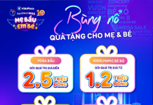 Bật mí combo quà tặng siêu khủng tại Festival mẹ bầu và em bé 2025