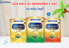 Sữa Enfa C-Sec có mấy loại? Đánh giá công dụng từng loại
