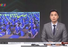 Hàng loạt báo lớn VTV, VTC New, đưa tin về sự kiện Festival Mẹ bầu và Em bé 2025