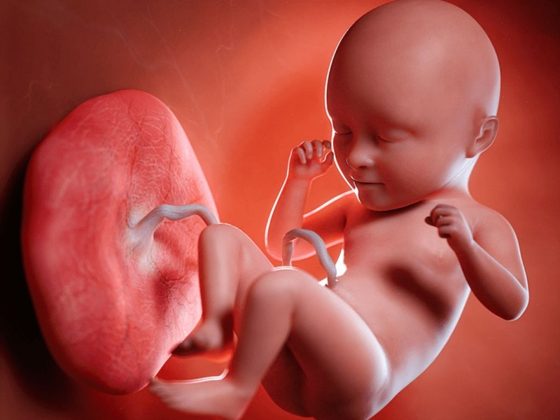 Tuan-bao-nhieu-thi-sieu-am-thau-nhau-bam-mat-truoc-2