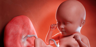 Vị trí nhau thai bám mặt trước hay mặt sau tốt hơn? nhau-thai-bam-mat-truoc-hay-sau-tot