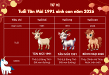 1991 sinh con năm 2026 hợp không? Có nên sinh con năm 2026 không? 1991-sinh-con-nam-2026-hop-khong