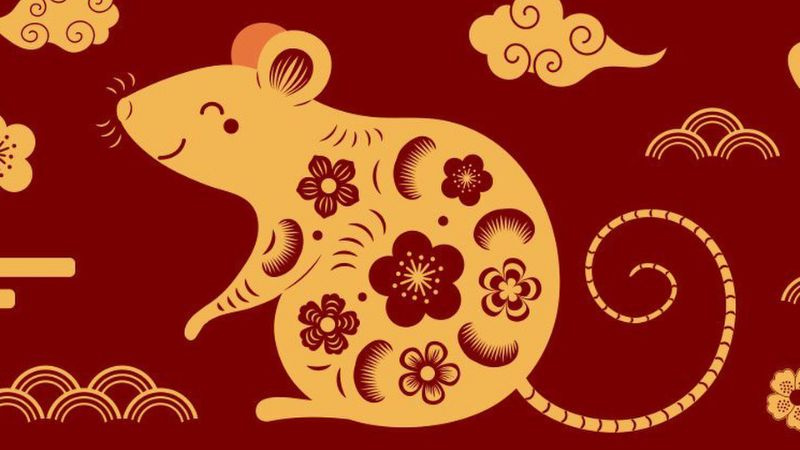 1996-sinh-con-nam-2026-co-tot-khong-2