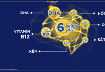 Khám phá bộ 6 dưỡng chất phát triển trí não trong sữa Aptamil Cesarbiotik số 3 bo-6-duong-chat-phat-trien-tri-nao-trong-sua-aptamil-Cesarbiotik-so-3