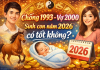 Luận giải chồng 1993 vợ 2000 sinh con năm 2026 có tốt không?