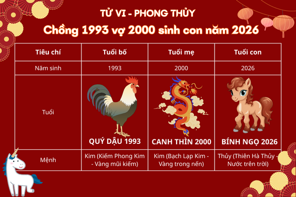chong-1993-vo-2000-sinh-con-nam-2026