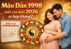 Bố mẹ tuổi Mậu Dần 1998 sinh con năm 2026 có hợp không? 1998-sinh-con-nam-2026-co-hop-khong-2
