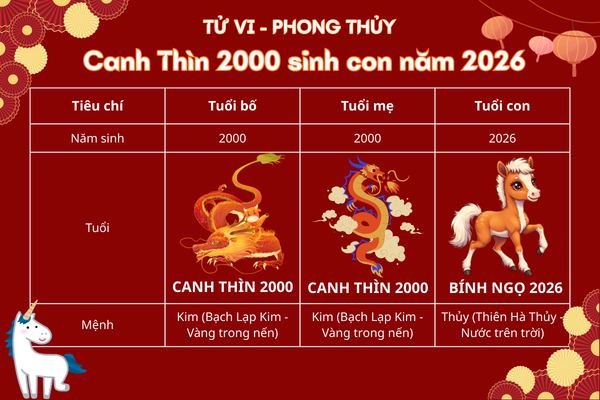 2000-sinh-con-nam-2026-co-tot-khong