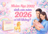 Tuổi Nhâm Ngọ 2002 sinh con năm 2026 có tốt không, hợp mệnh không? 2002-sinh-con-nam-2026-co-tot-khong