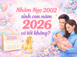 Tuổi Nhâm Ngọ 2002 sinh con năm 2026 có tốt không, hợp mệnh không? 2002-sinh-con-nam-2026-co-tot-khong