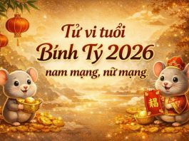 Xem tử vi tuổi Bính Tý 2026 chi tiết cho nam mạng, nữ mạng tu-vi-tuoi-binh-ty-2026