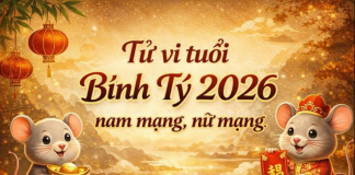 Xem tử vi tuổi Bính Tý 2026 chi tiết nhất cho nam mạng, nữ mạng tu-vi-tuoi-binh-ty-2026