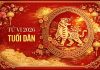 Tử vi tuổi Dần năm 2026: Năm bứt phá hay thử thách?