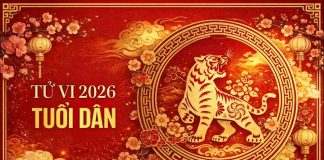 Tử vi tuổi Dần năm 2026: Năm bứt phá hay thử thách?