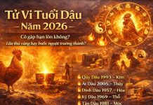 Tử vi tuổi Dậu năm 2026 có gặp hạn lớn không? Lửa thử vàng hay bước ngoặt trưởng thành