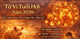 Tử vi tuổi Hợi năm 2026: Có nên thay đổi công việc, đầu tư?