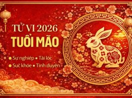 Tử vi tuổi Mão năm 2026 chi tiết từng phương diện: Công danh, tài lộc, sức khỏe và tình duyên