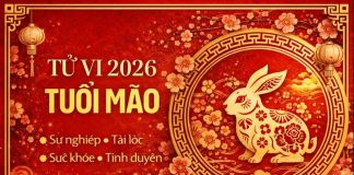 Tử vi tuổi Mão năm 2026 chi tiết từng phương diện: Công danh, tài lộc, sức khỏe và tình duyên