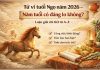 Tử vi tuổi Ngọ năm 2026 – Năm tuổi có đáng lo không?