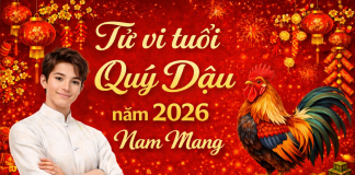 Luận giải tử vi tuổi Quý Dậu năm 2026 nam mạng đầy đủ từ A–Z tu-vi-tuoi-quy-dau-nam-2026-nam-mang