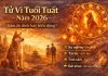 Tử vi tuổi Tuất năm 2026: Năm ổn định hay biến động?