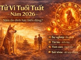 Tử vi tuổi Tuất năm 2026: Năm ổn định hay biến động?