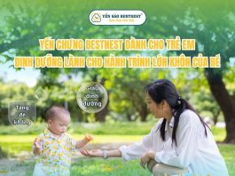 Yến chưng Bestnest cho trẻ em – Dinh dưỡng lành cho hành trình lớn khôn của bé