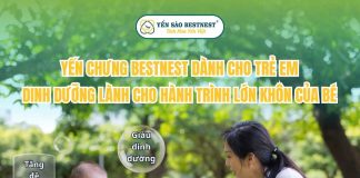 Yến chưng Bestnest cho trẻ em – Dinh dưỡng lành cho hành trình lớn khôn của bé