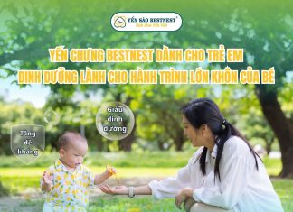 Yến chưng Bestnest cho trẻ em – Dinh dưỡng lành cho hành trình lớn khôn của bé