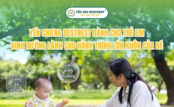 Yến chưng Bestnest cho trẻ em – Dinh dưỡng lành cho hành trình lớn khôn của bé