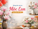 Hướng dẫn cắm hoa mộc lan tươi lâu đón Tết