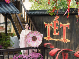 Lưu ngay những địa điểm chụp ảnh Tết đẹp ở Hà Nội hot nhất 2026 dia-diem-chup-anh-tet-dep-o-ha-noi-10