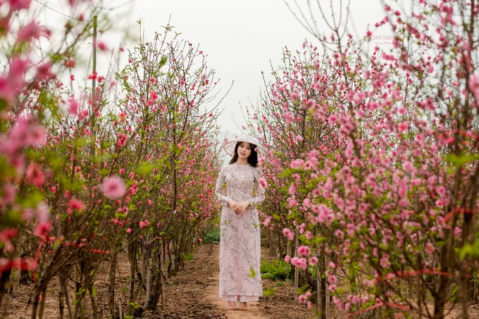 dia-diem-chup-anh-tet-dep-o-ha-noi-5