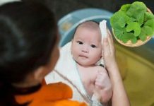 Bé bị khô da tắm lá gì cho an toàn? Gợi ý các loại lá dân gian mẹ nên biết