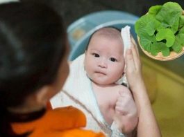 Bé bị khô da tắm lá gì cho an toàn? Gợi ý các loại lá dân gian mẹ nên biết