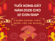 Tuổi xông đất năm 2026 cho 12 con giáp chuẩn phong thủy, rước lộc an khang
