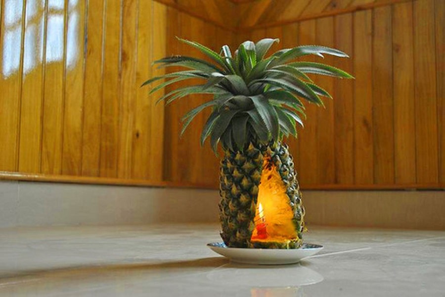 cach-khu-mui-am-moc-trong-nha-7