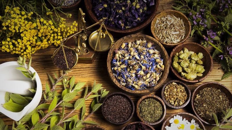 cach-khu-mui-am-moc-trong-nha-9