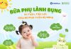 Bánh gạo x Sữa chua sấy Anpaso – Combo bữa phụ lành bụng cho bé yêu! anpaso