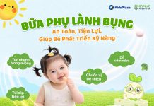 Bánh gạo x Sữa chua sấy Anpaso – Combo bữa phụ lành bụng cho bé yêu! anpaso