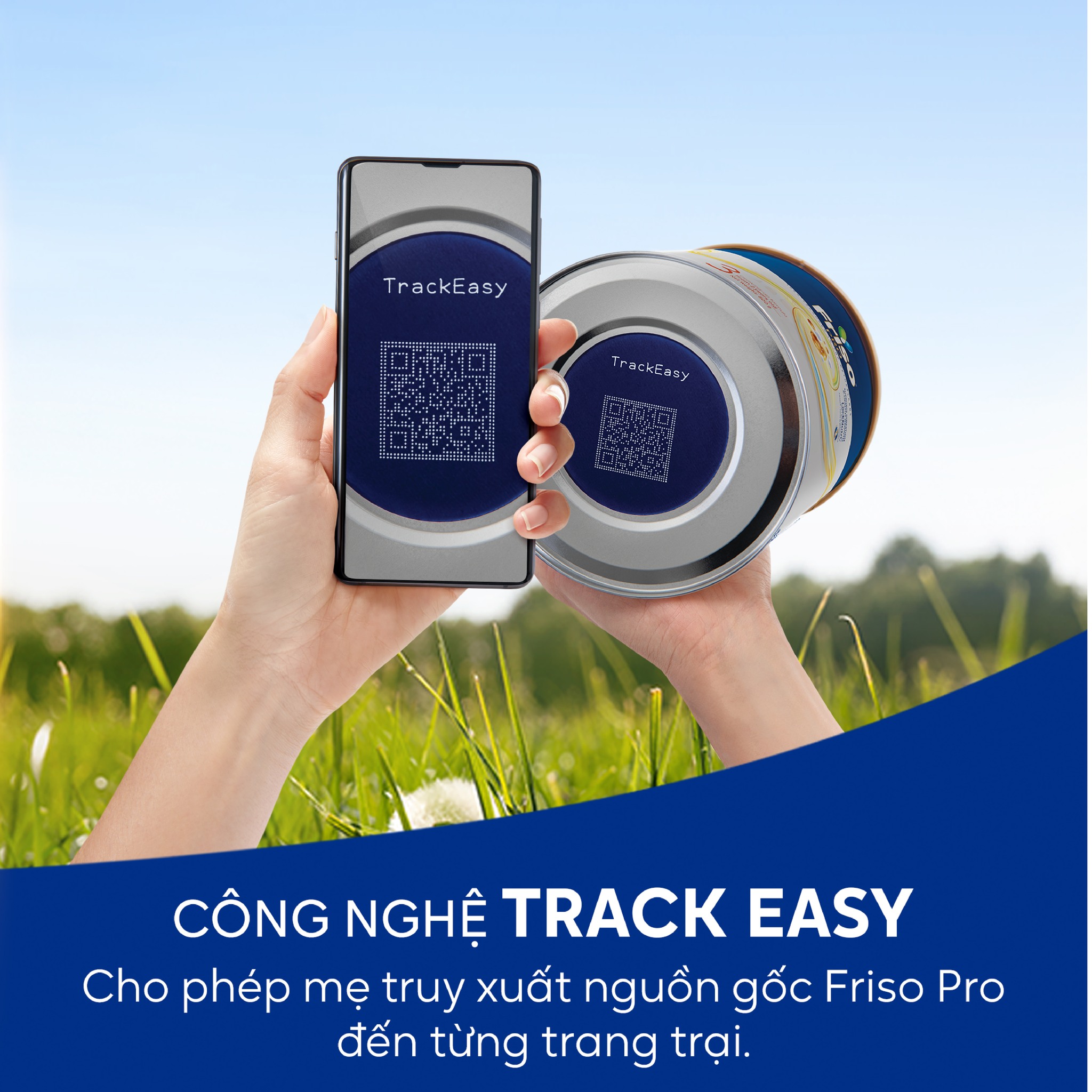 friso-3