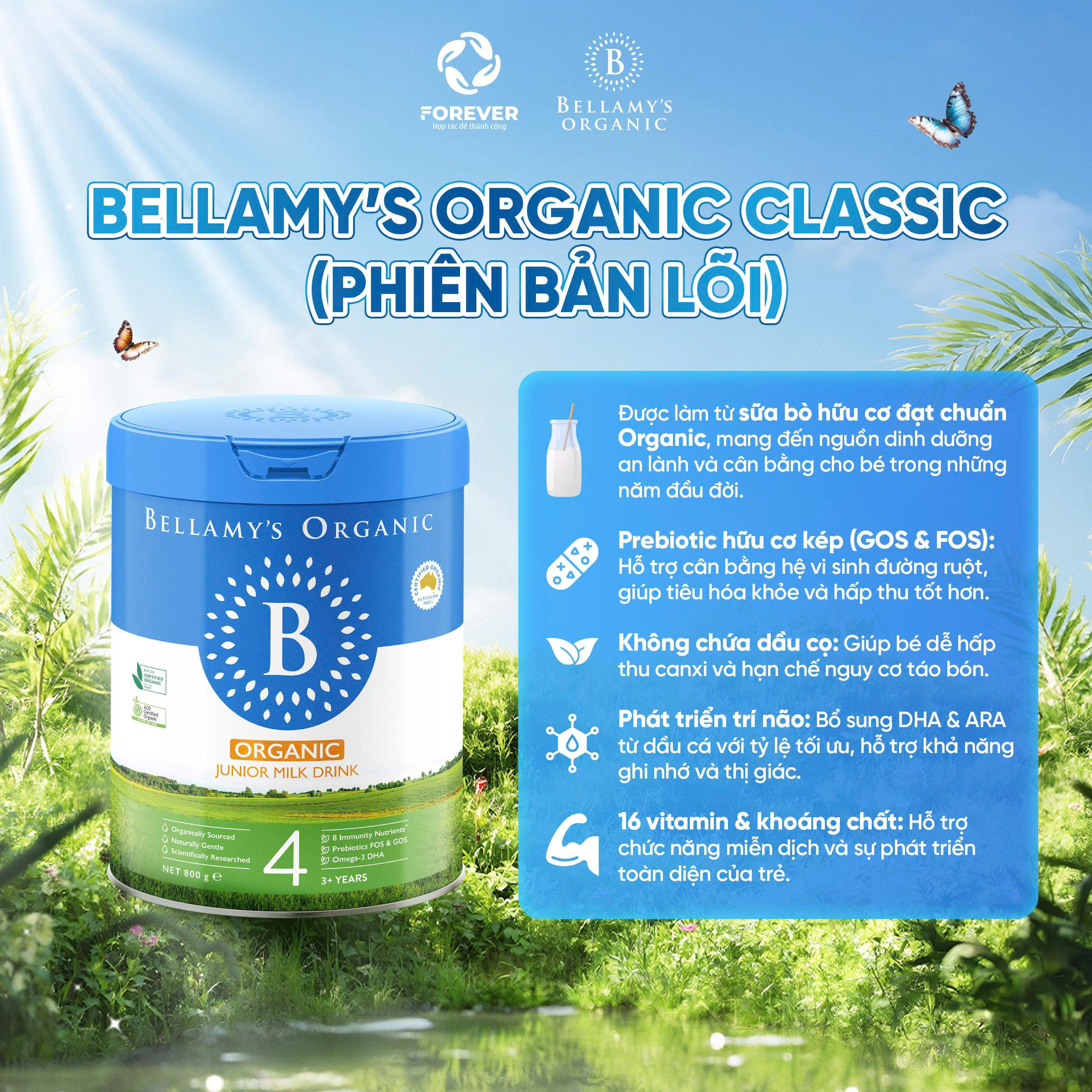 Bellamy-Organic-phien-ban-loi