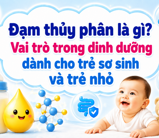 Đạm thủy phân là gì? Vai trò trong dinh dưỡng dành cho trẻ sơ sinh và trẻ nhỏ dam-thuy-phan-la-gi-2