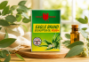 Khám phá bộ đôi dầu tràm và dầu khuynh diệp Eagle Brand được nhiều gia đình tin dùng dau-khuynh-diep