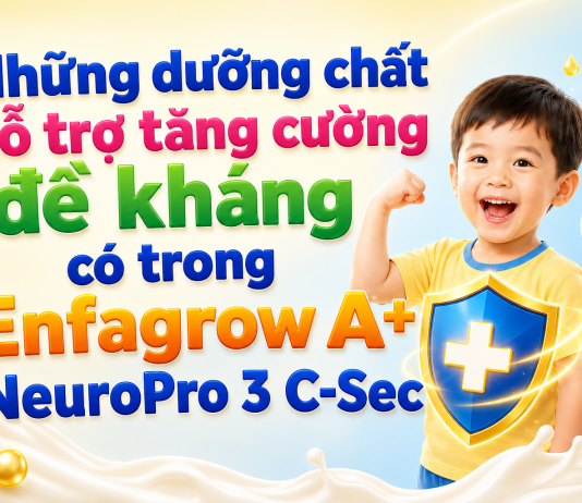 Những dưỡng chất hỗ trợ tăng cường đề kháng có trong Enfagrow A+ NeuroPro 3 C-Sec duong-chat-ho-tro-tang-de-khang-1