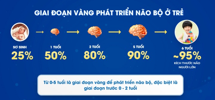 giai-doan-vang-phat-trien-nao-bo-1
